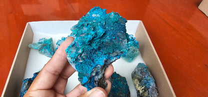 Lot 8 Chrysocolla Quartz Rough