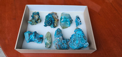 Lot 8 Chrysocolla Quartz Rough