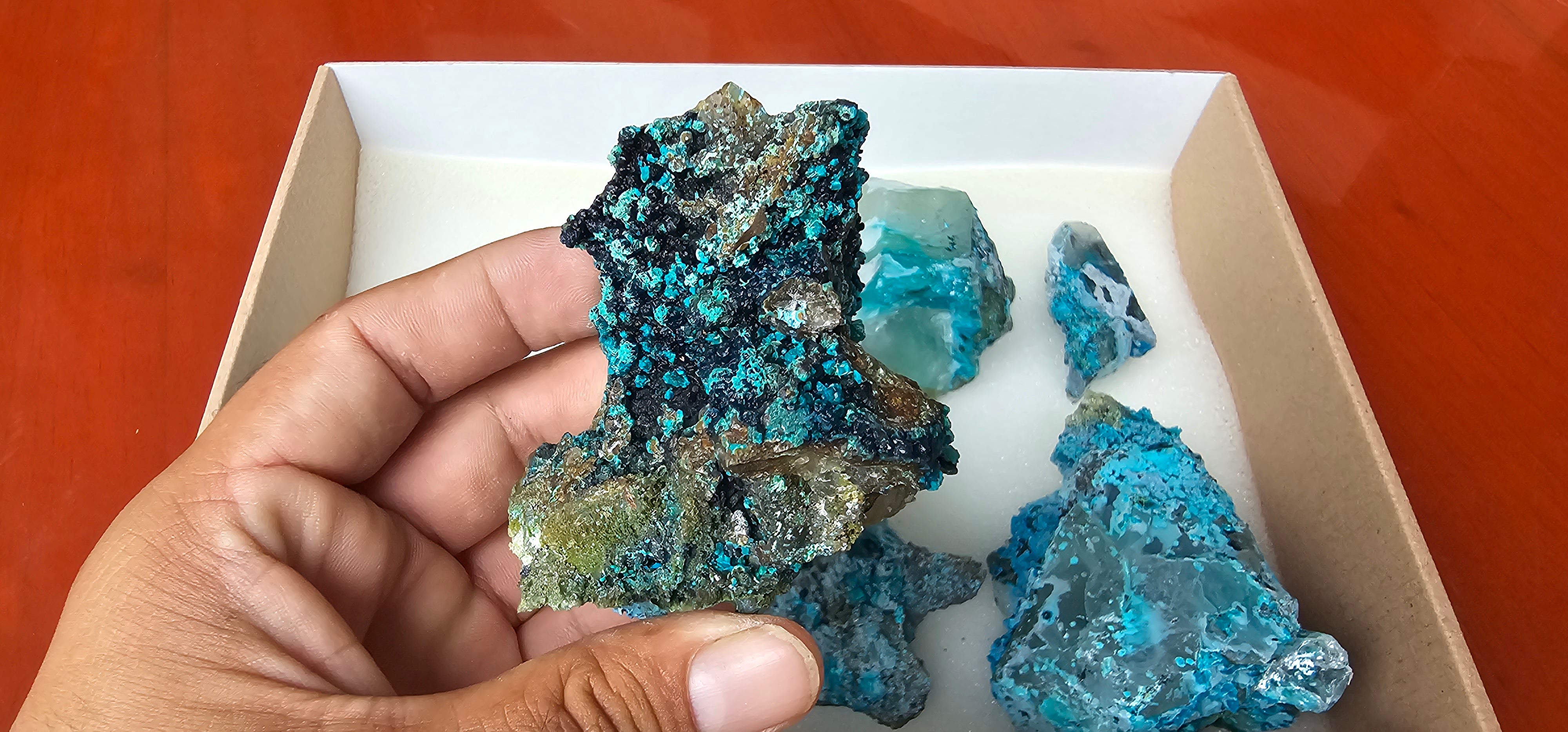 Lot 8 Chrysocolla Quartz Rough