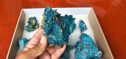 Lot 8 Chrysocolla Quartz Rough