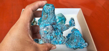 Lot 8 Chrysocolla Quartz Rough