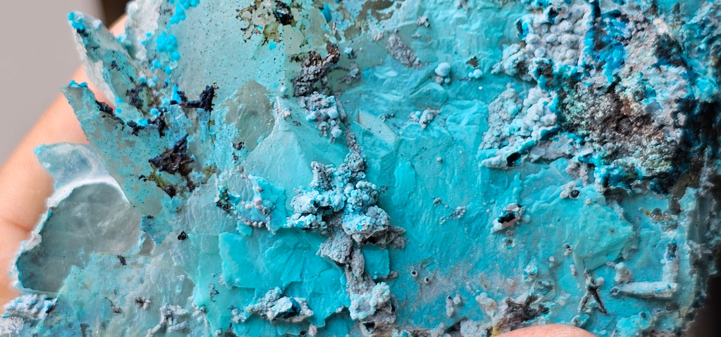 Chrysocolla on Quartz