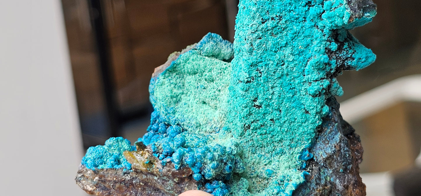 Chrysocolla on Quartz