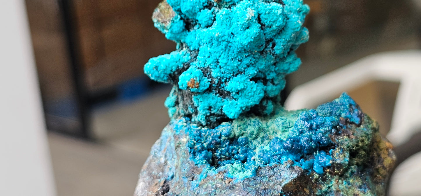 Chrysocolla on Quartz