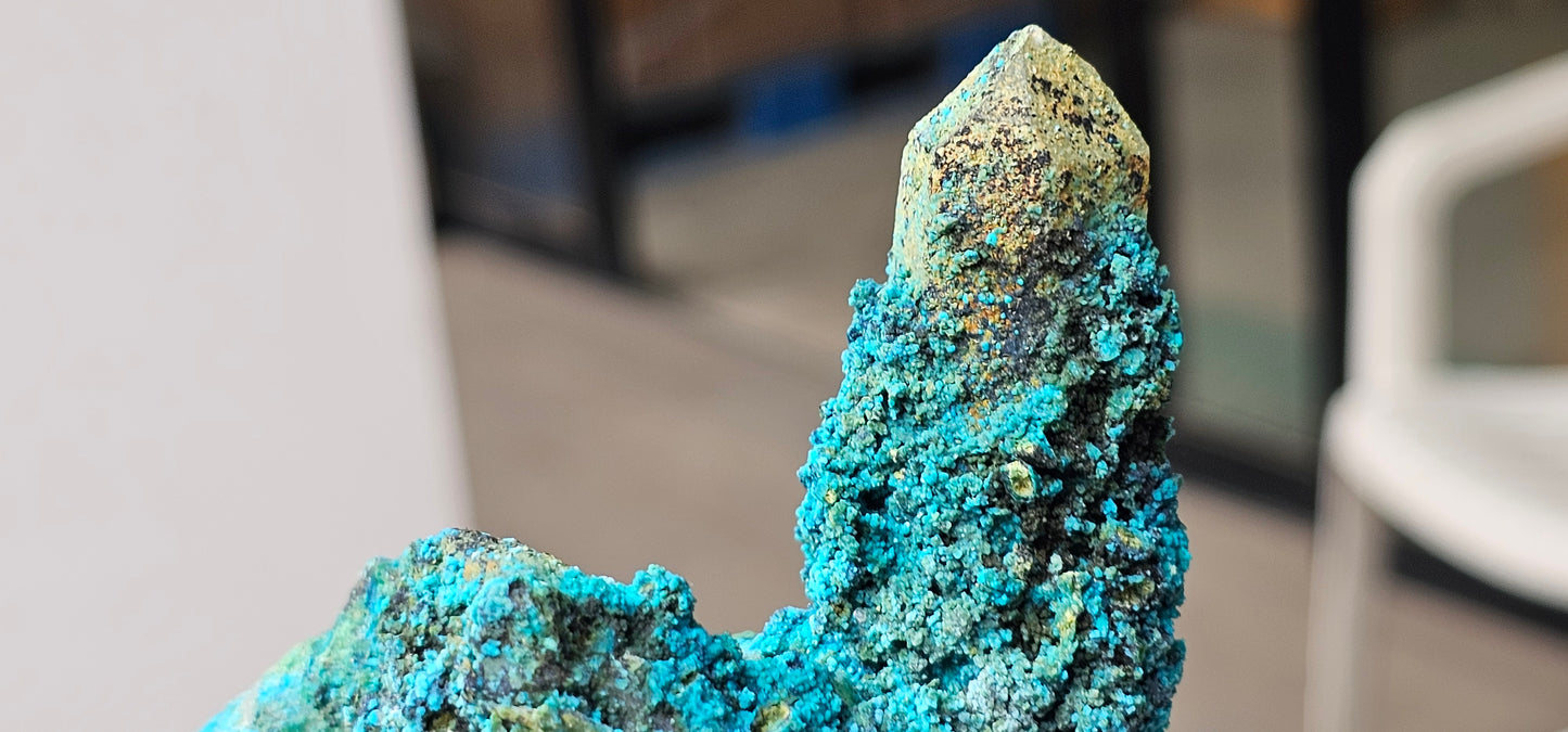 Chrysocolla on Quartz