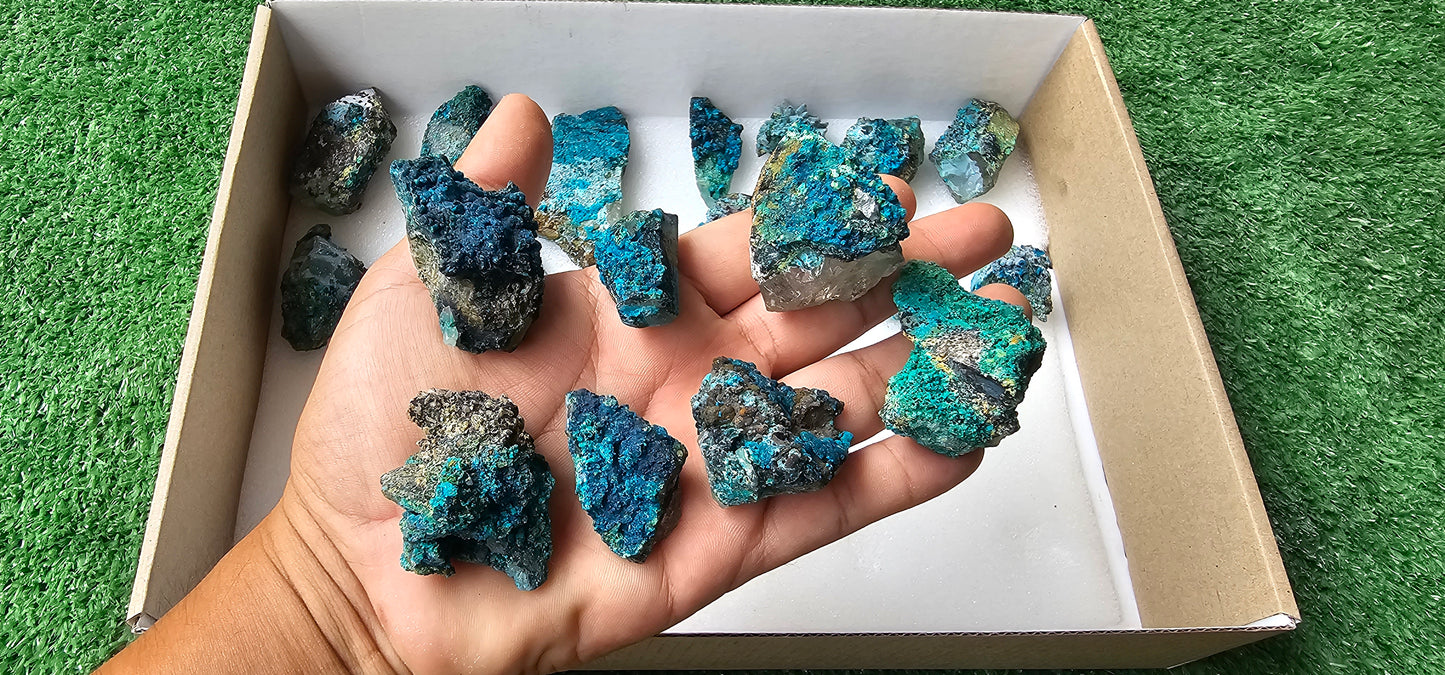 Lot 21 Chrysocolla on Quartz