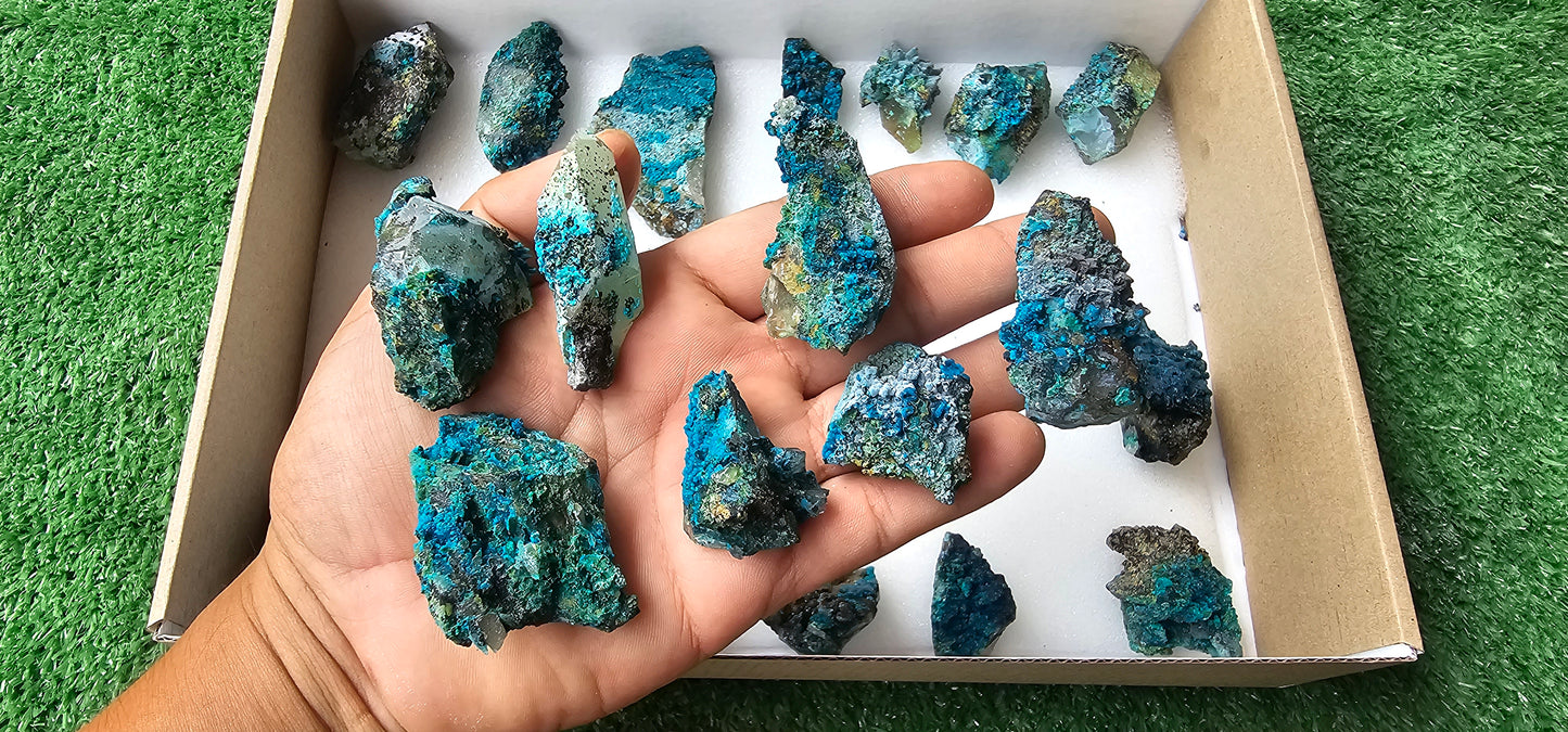 Lot 21 Chrysocolla on Quartz