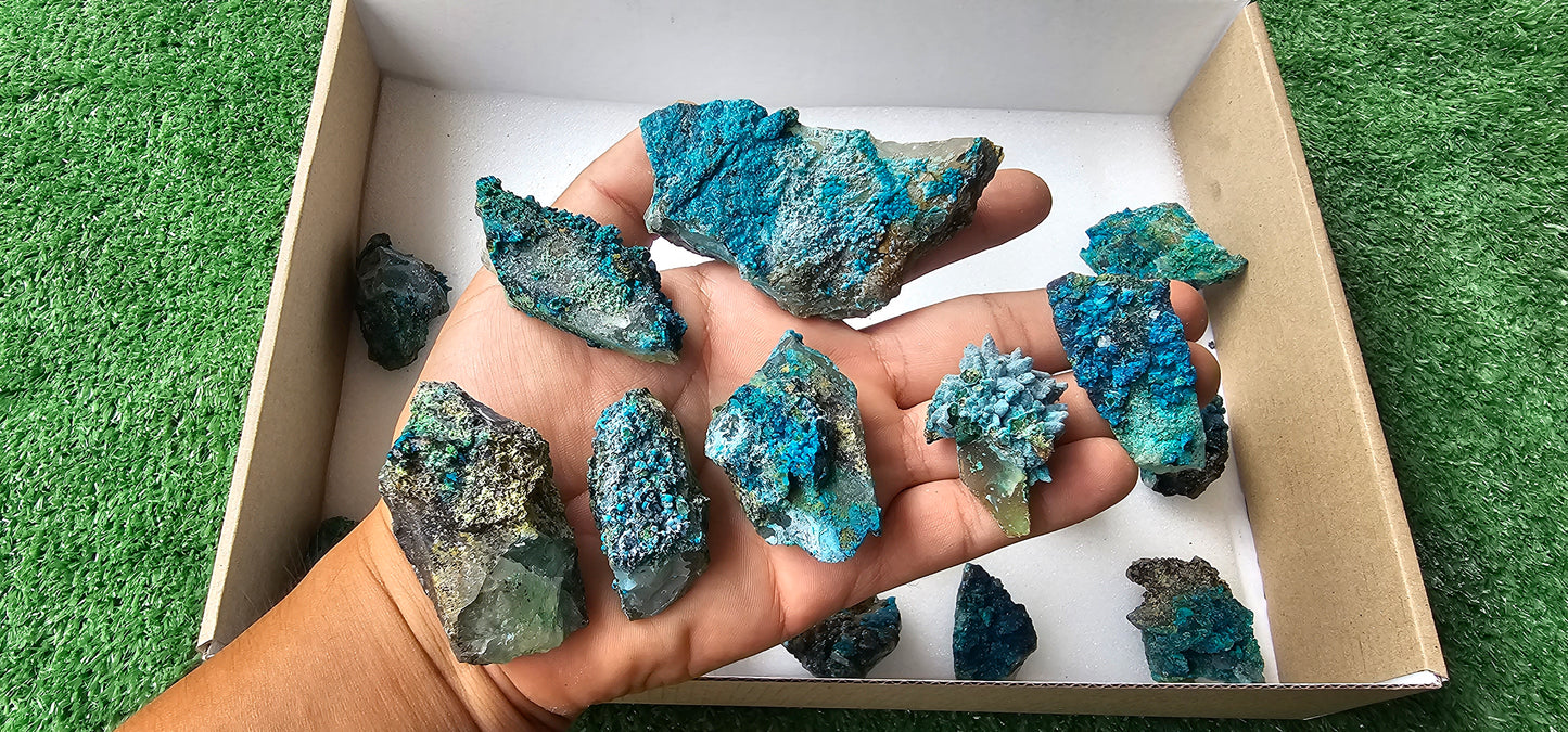 Lot 21 Chrysocolla on Quartz