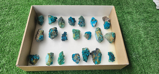 Lot 21 Chrysocolla on Quartz