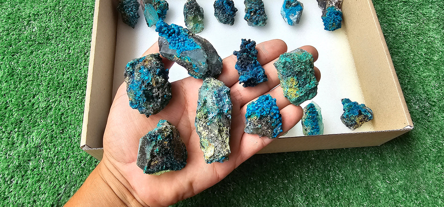 Lot 21 Chrysocolla on Quartz