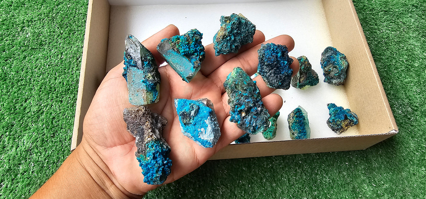 Lot 21 Chrysocolla on Quartz