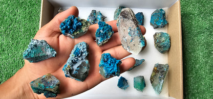 Lot 20 Chrysocolla on Quartz