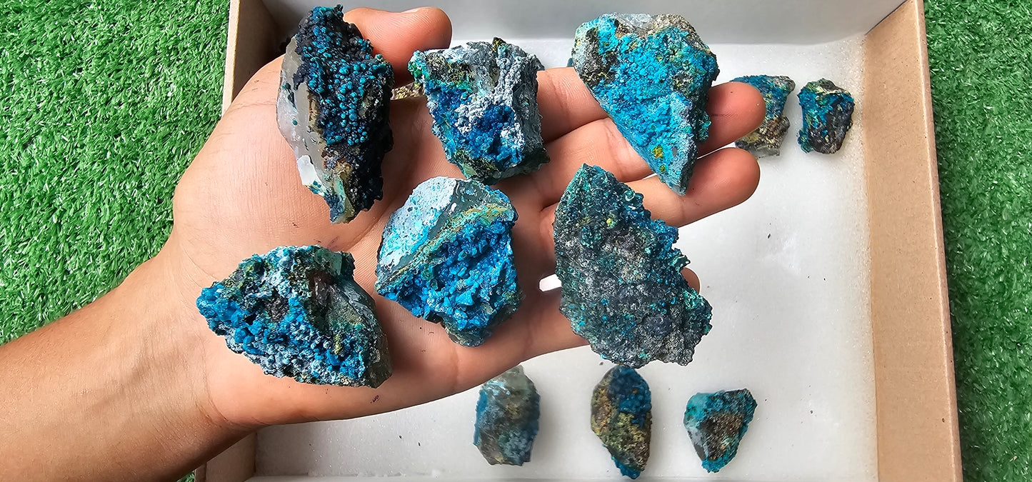 Lot 20 Chrysocolla on Quartz