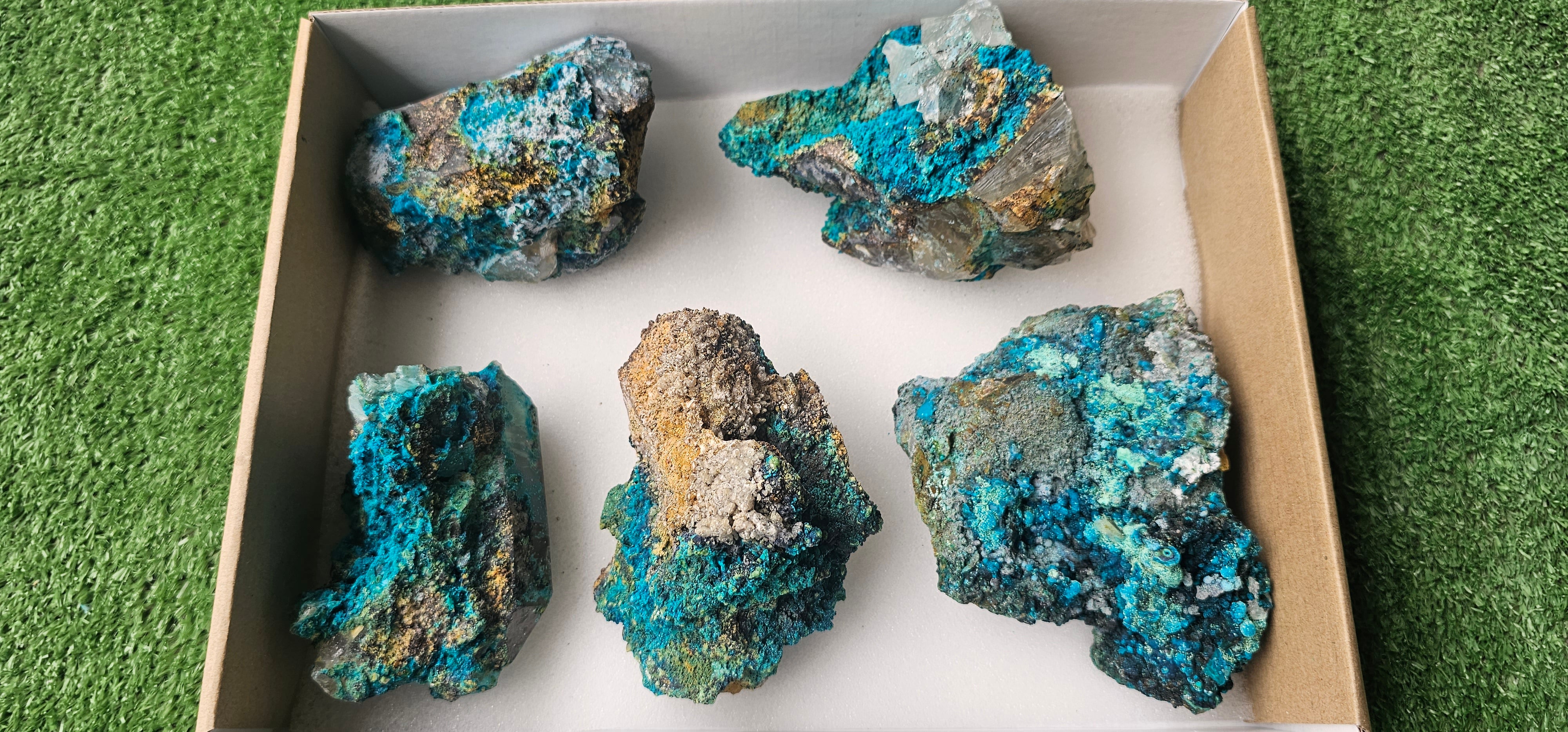 Lot 5 Chrysocolla on Quartz