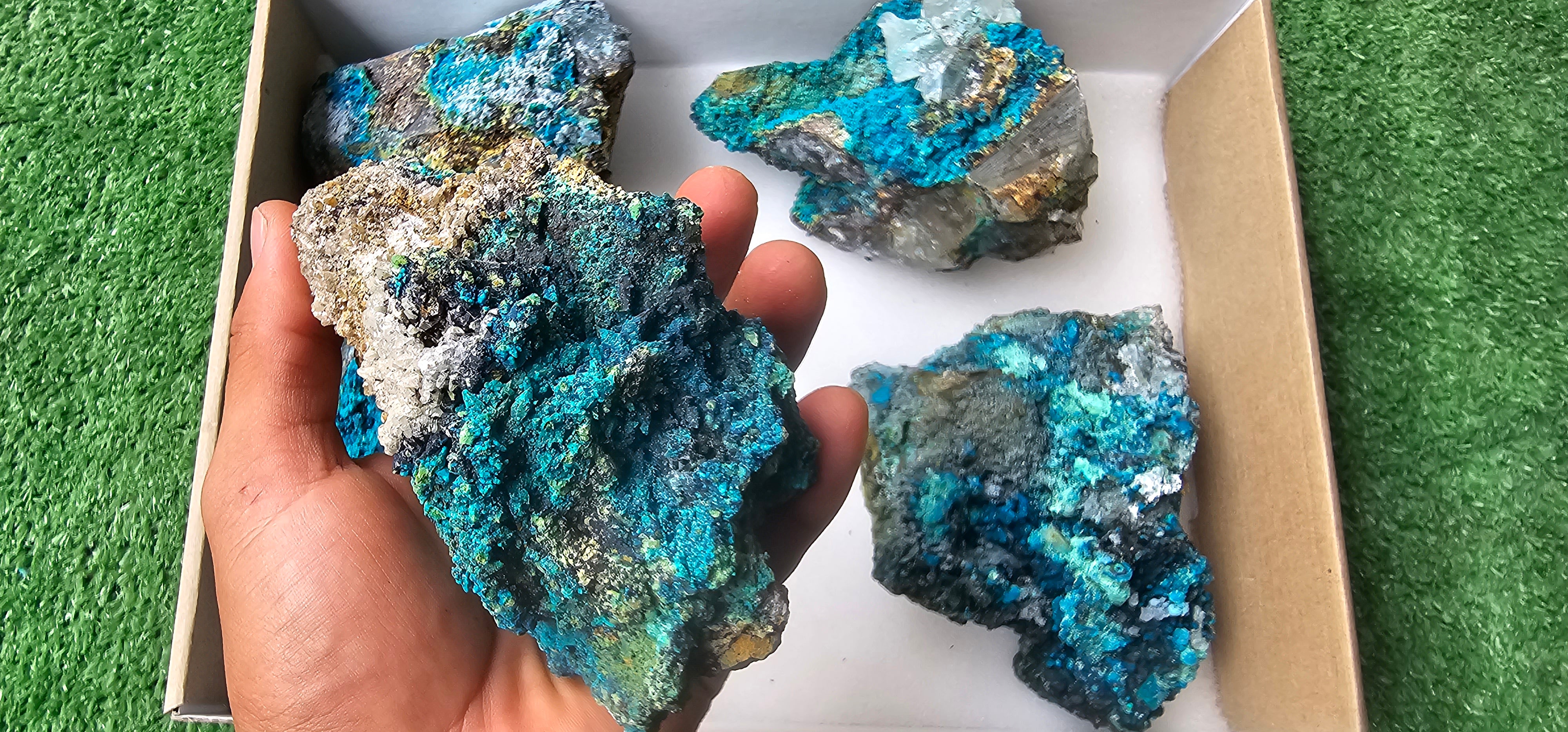 Lot 5 Chrysocolla on Quartz
