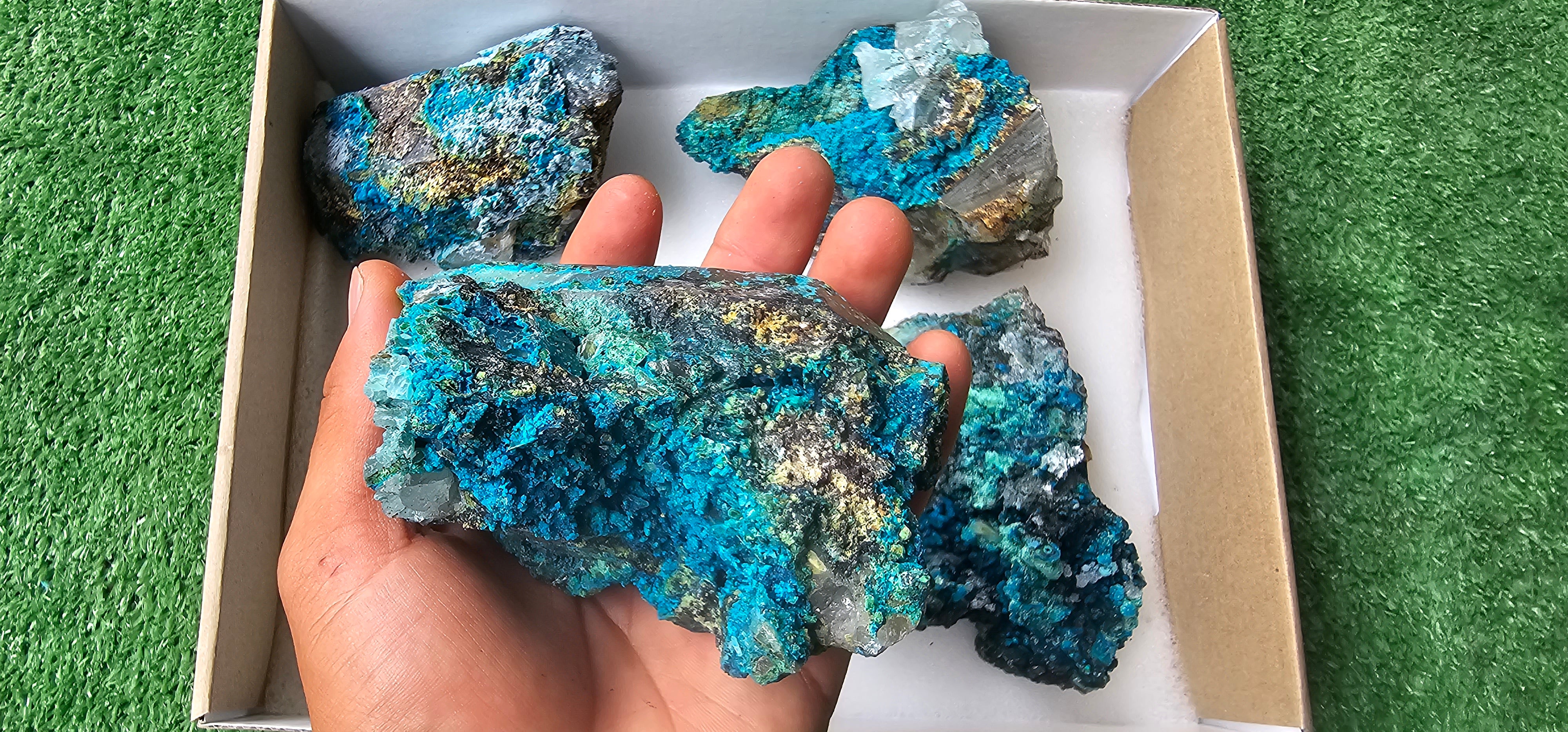 Lot 5 Chrysocolla on Quartz