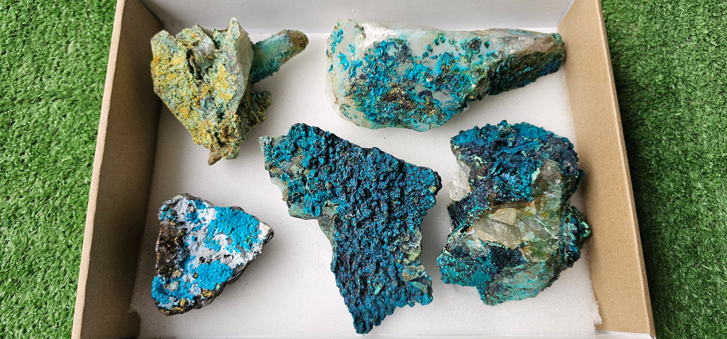 Lot 5 Chrysocolla on Quartz