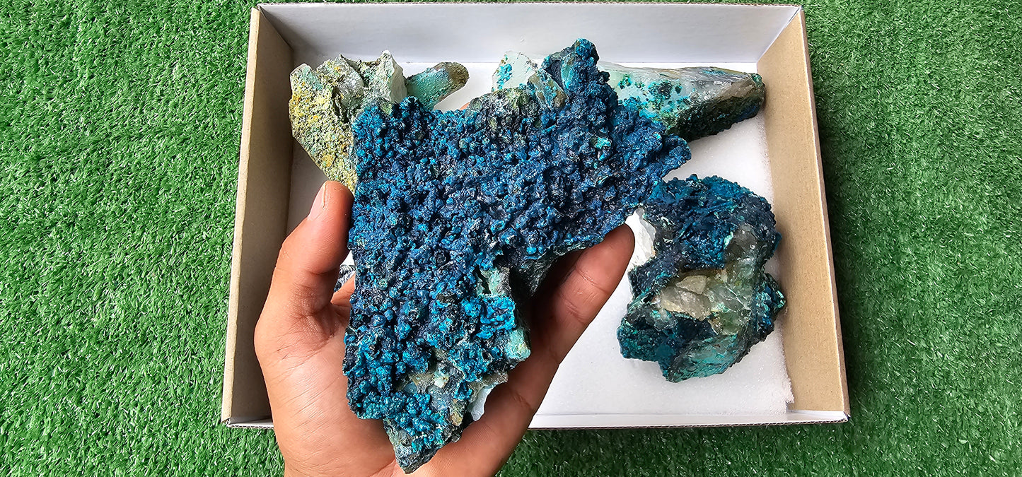 Lot 5 Chrysocolla on Quartz