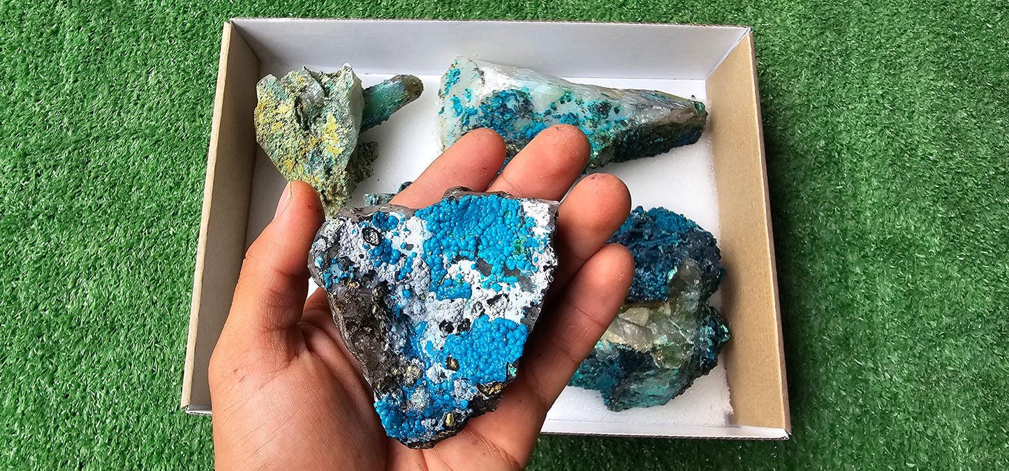 Lot 5 Chrysocolla on Quartz