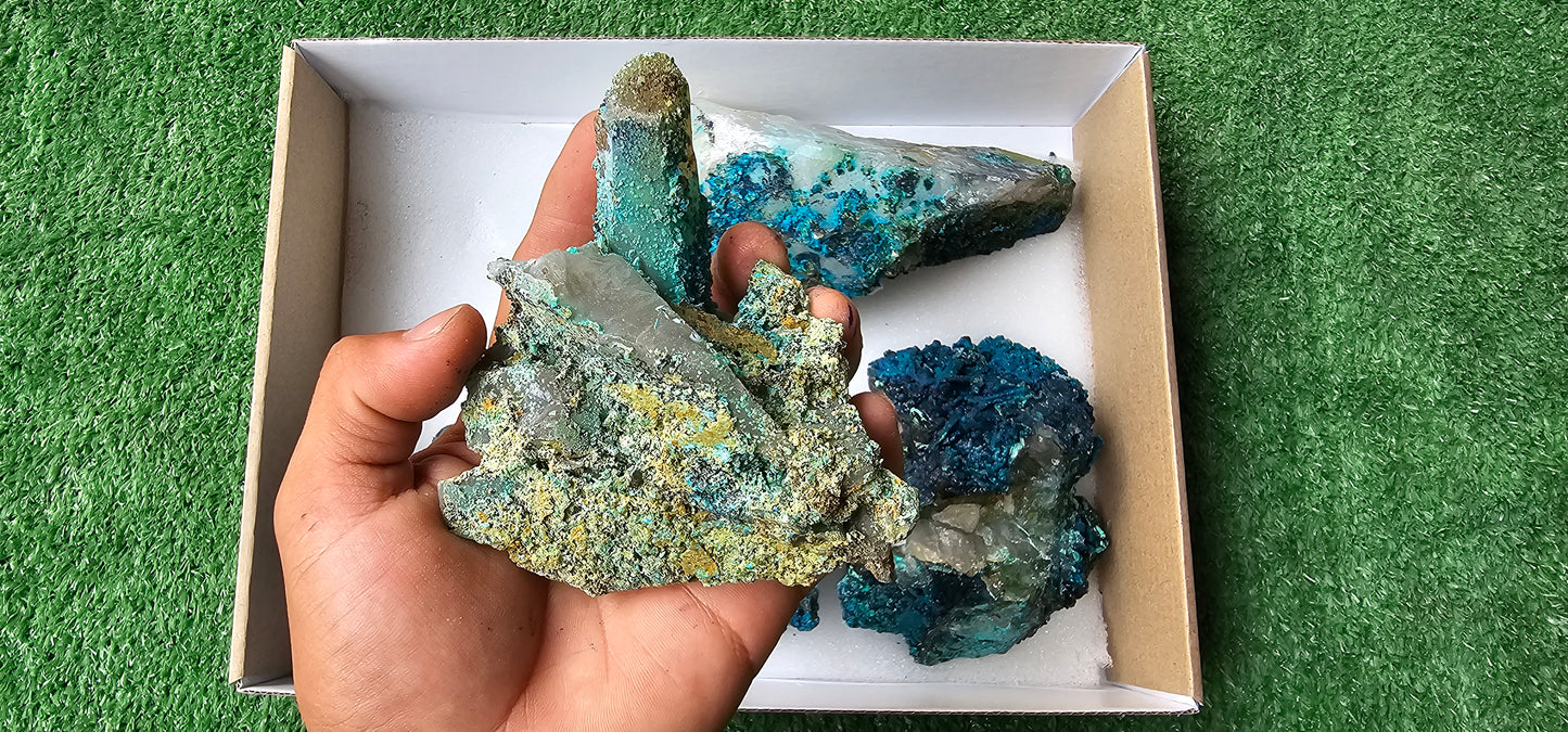 Lot 5 Chrysocolla on Quartz