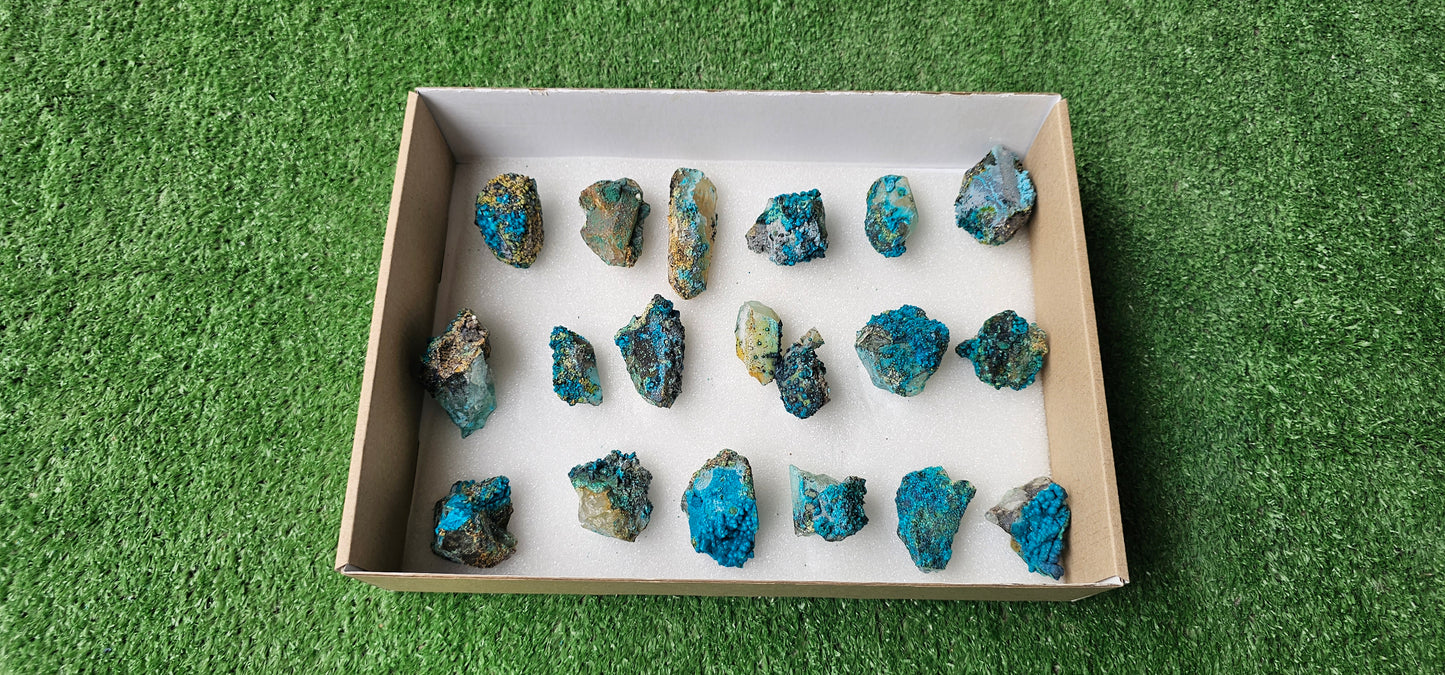 Lot 18 Chrysocolla on Quartz