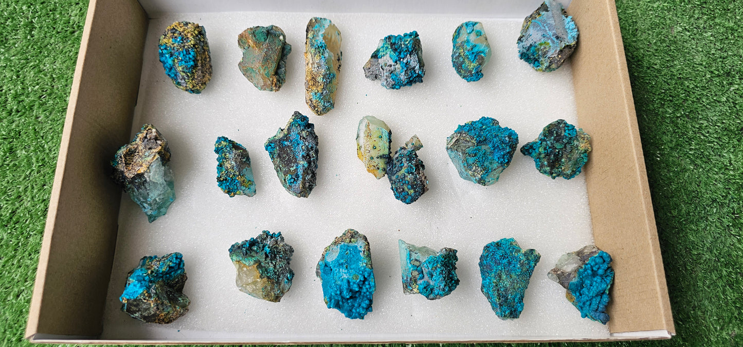 Lot 18 Chrysocolla on Quartz