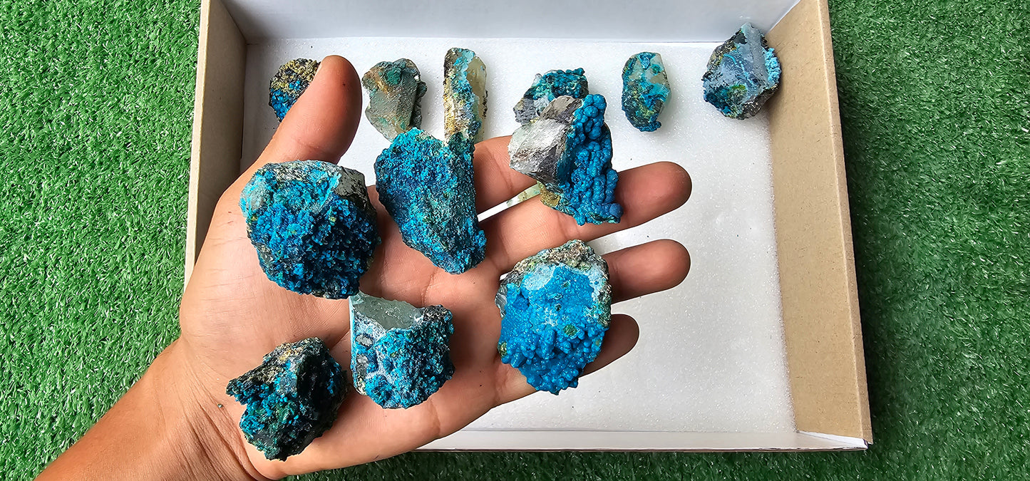 Lot 18 Chrysocolla on Quartz