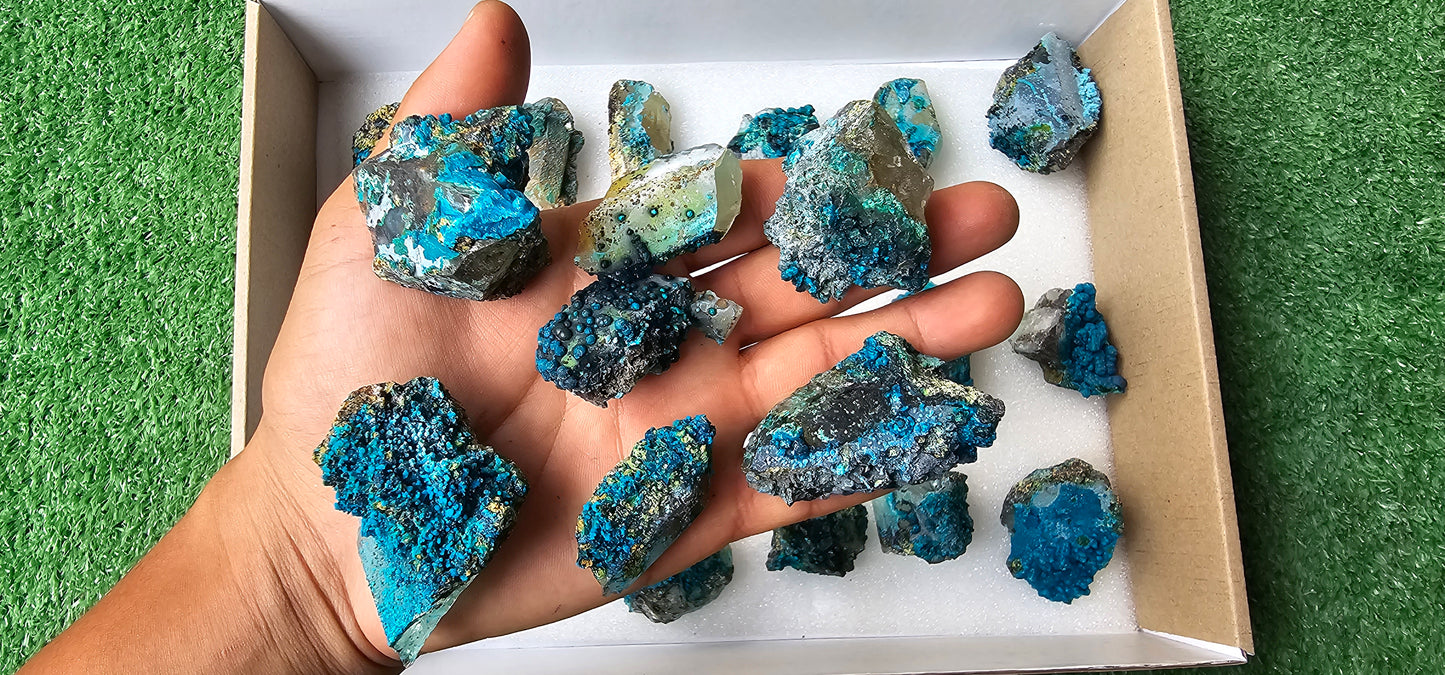 Lot 18 Chrysocolla on Quartz