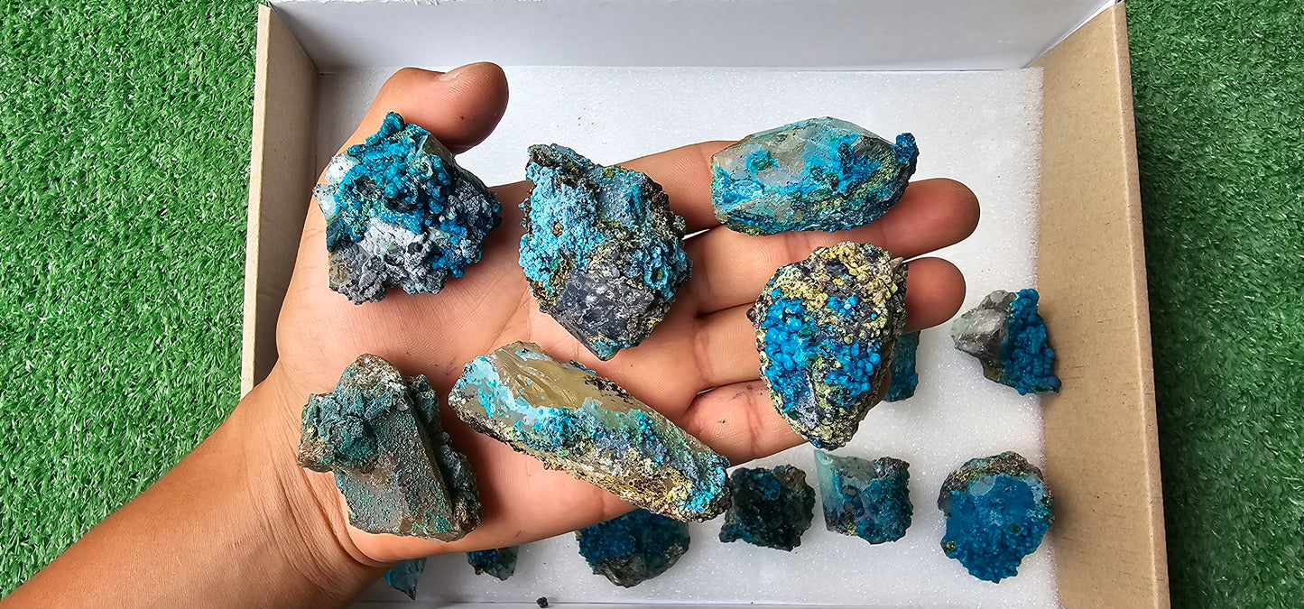 Lot 18 Chrysocolla on Quartz