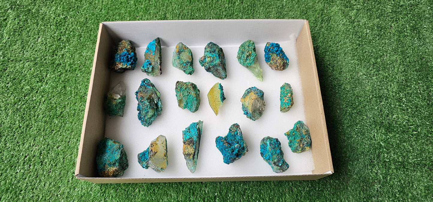 Lot 18 Chrysocolla on Quartz