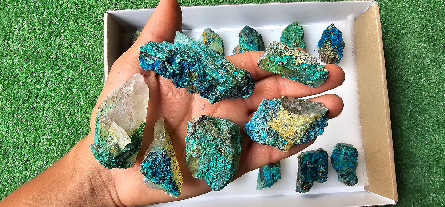 Lot 18 Chrysocolla on Quartz