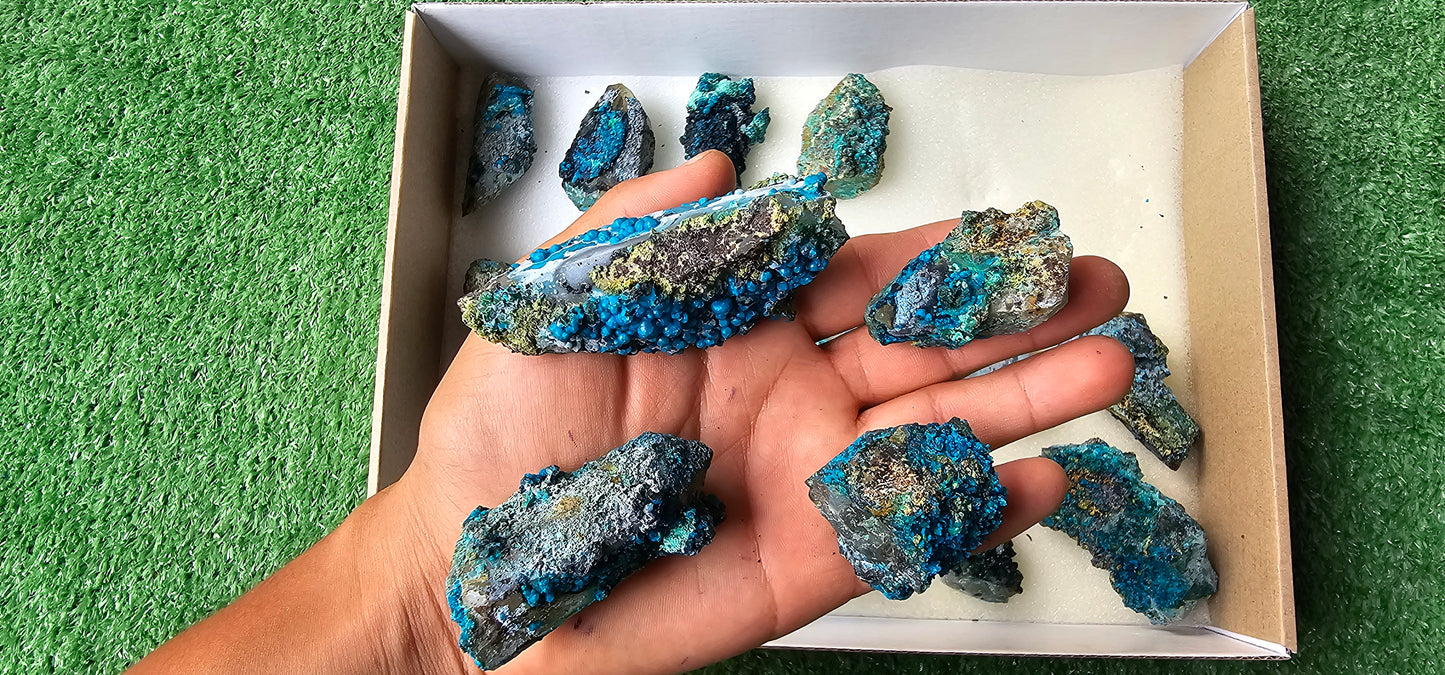 Lot 18 Chrysocolla on Quartz