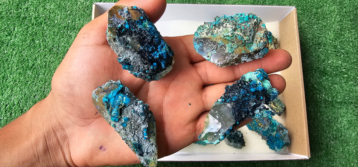 Lot 18 Chrysocolla on Quartz