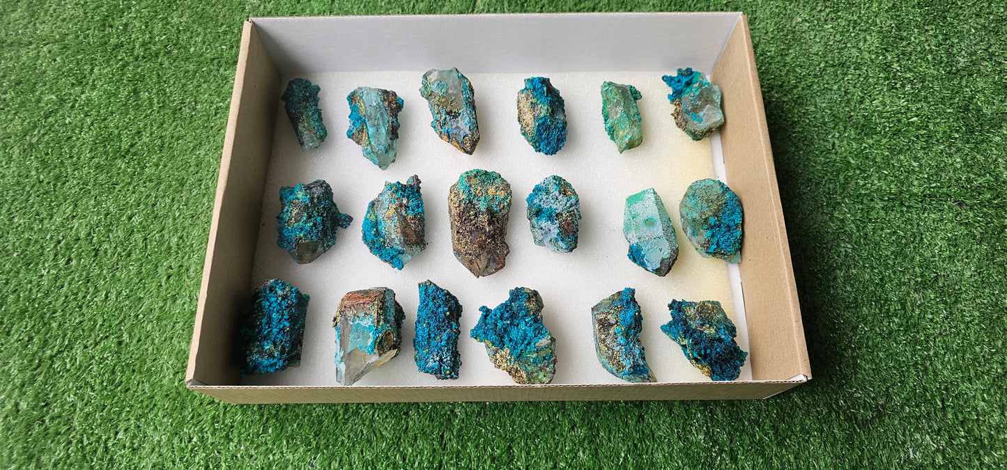 Lot 18 Chrysocolla on Quartz