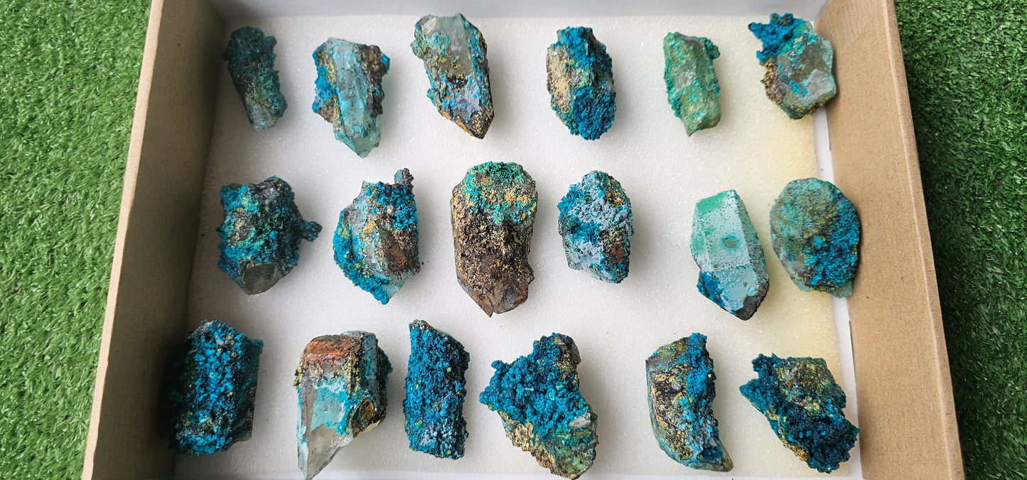 Lot 18 Chrysocolla on Quartz