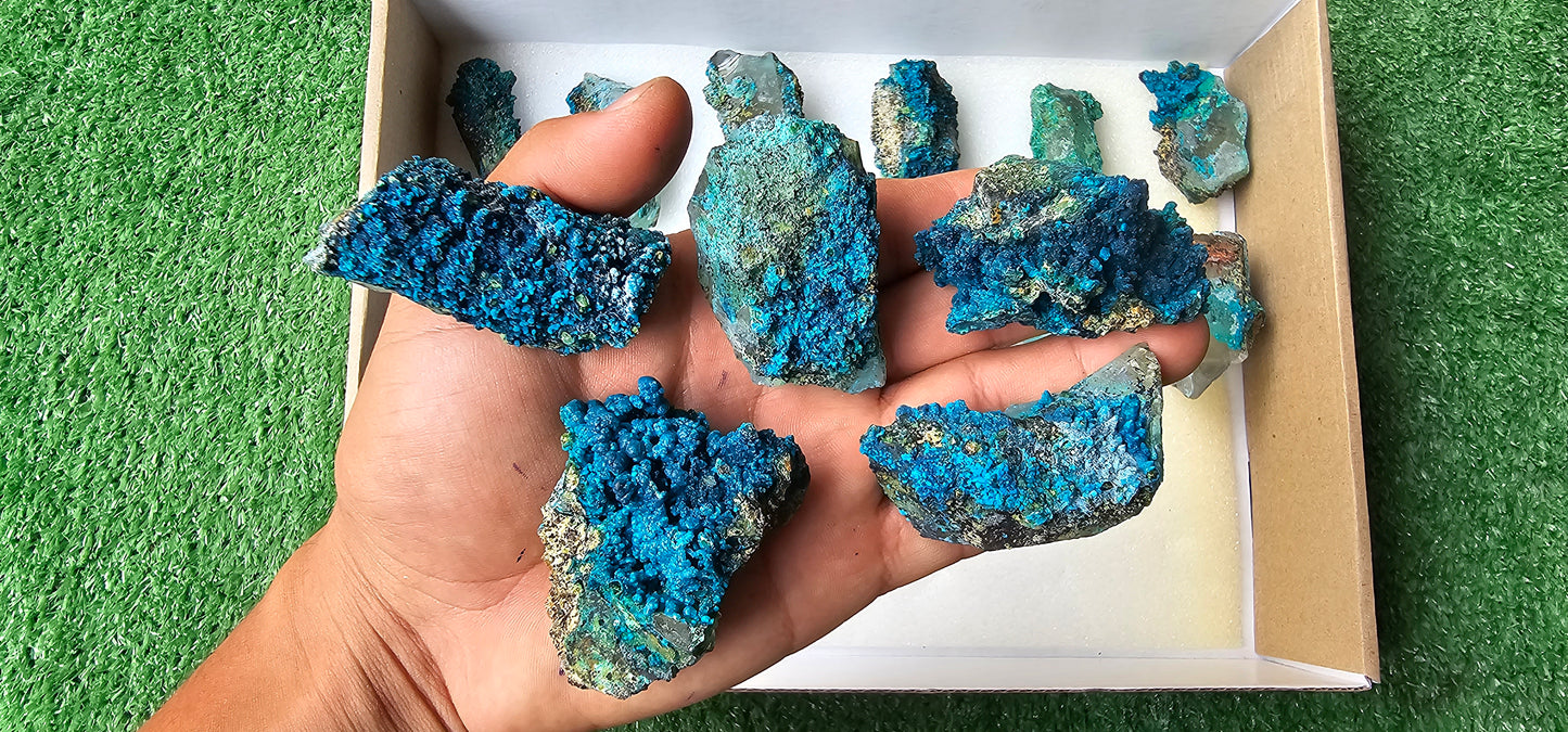 Lot 18 Chrysocolla on Quartz