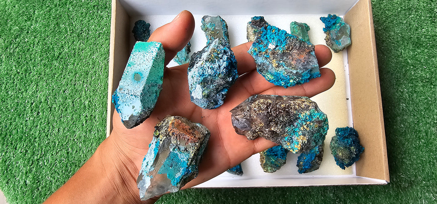 Lot 18 Chrysocolla on Quartz