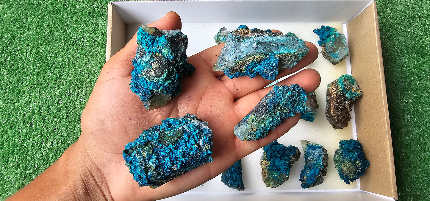 Lot 18 Chrysocolla on Quartz