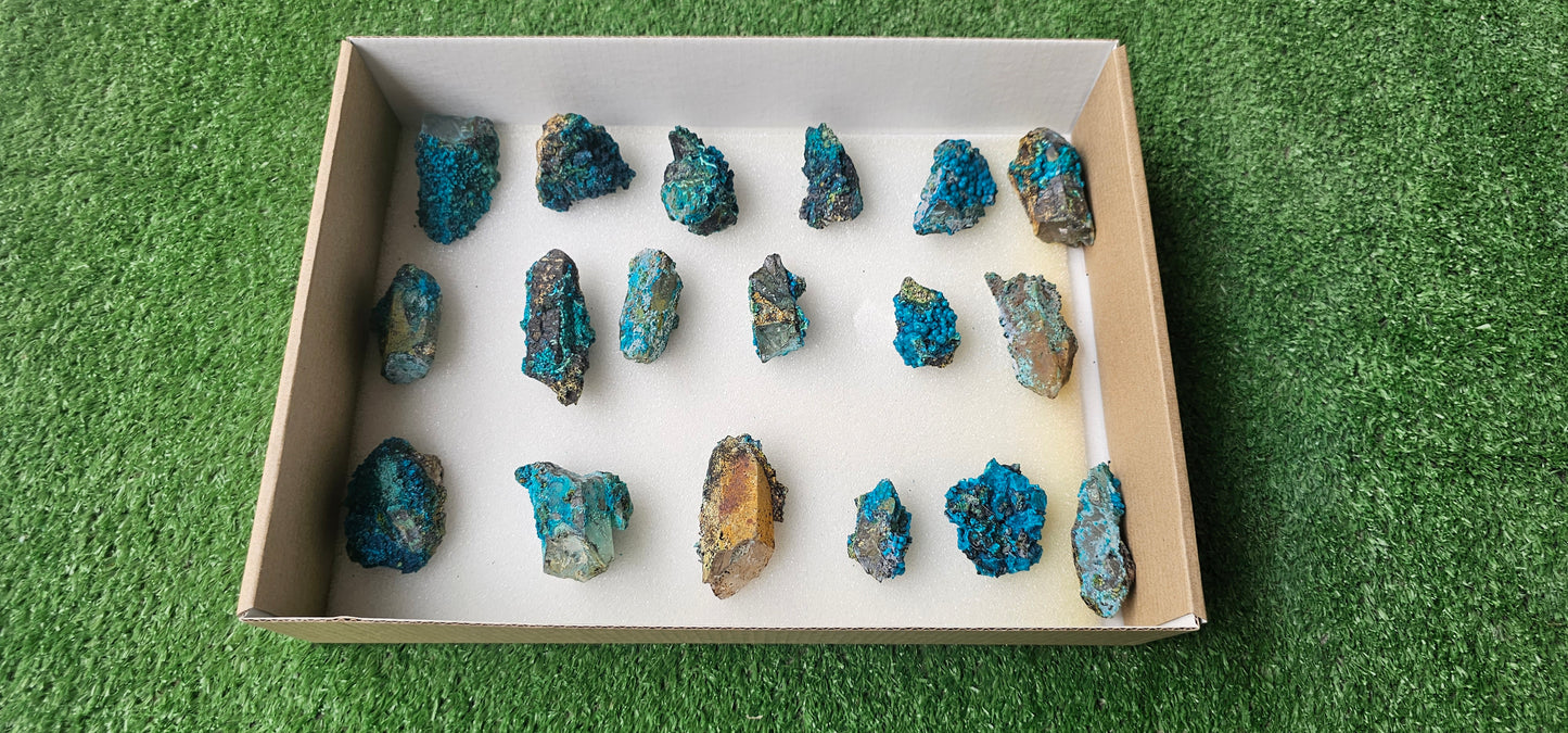 Lot 18 Chrysocolla on Quartz