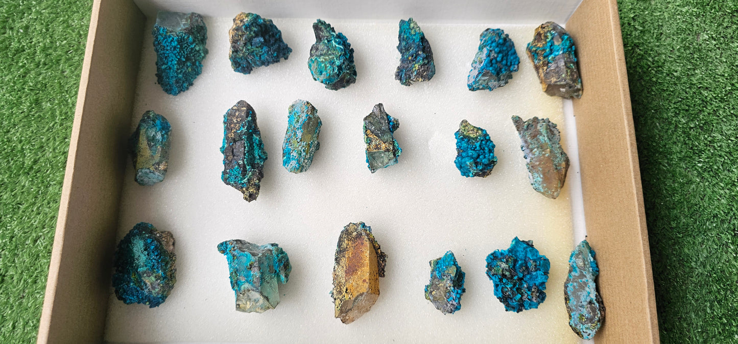 Lot 18 Chrysocolla on Quartz