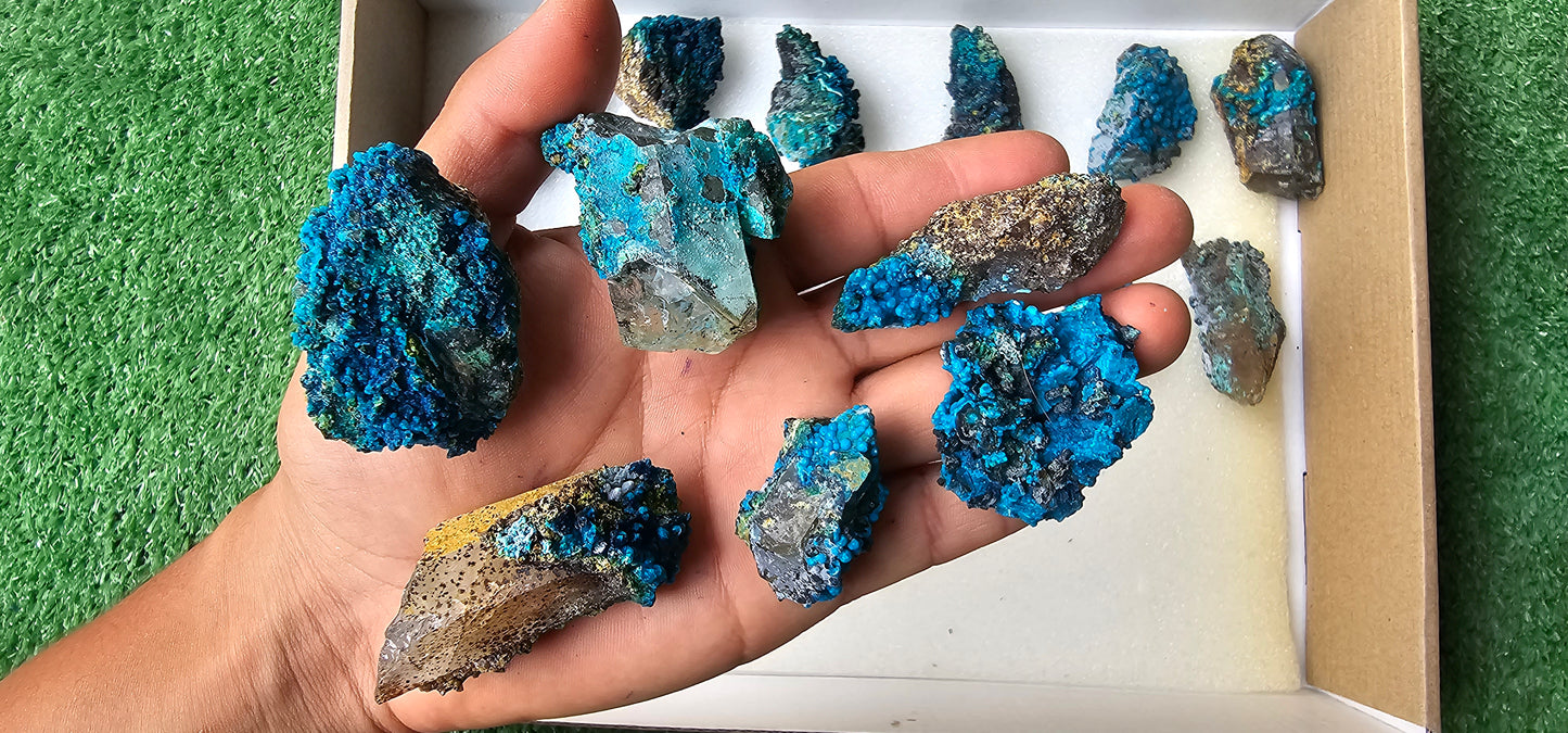 Lot 18 Chrysocolla on Quartz