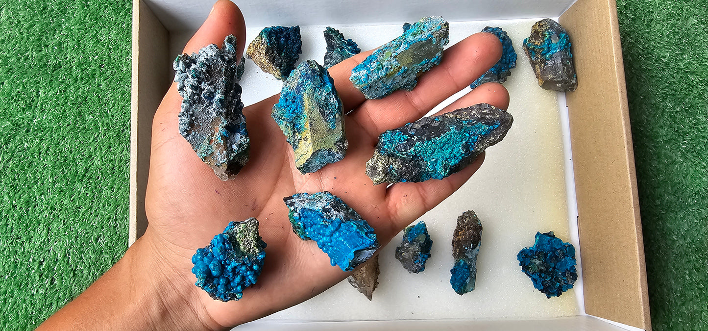 Lot 18 Chrysocolla on Quartz