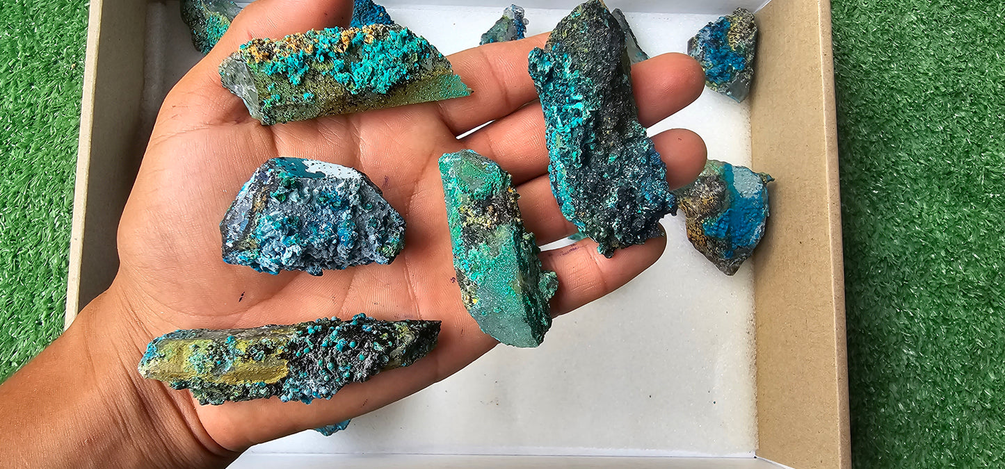 Lot 18 Chrysocolla on Quartz