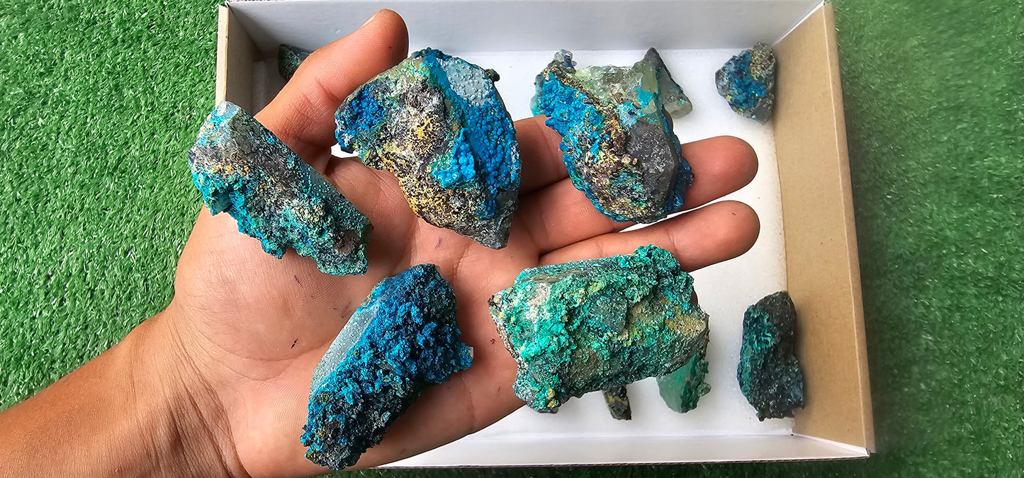 Lot 18 Chrysocolla on Quartz