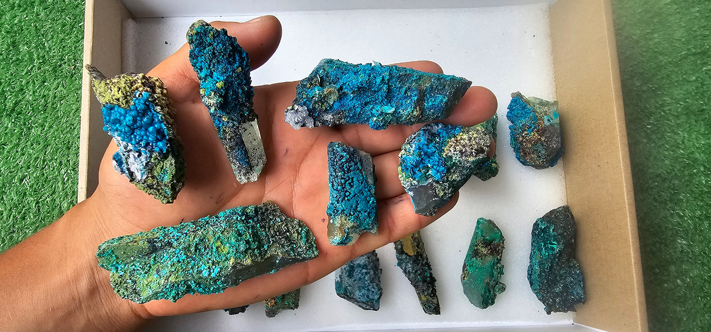 Lot 18 Chrysocolla on Quartz