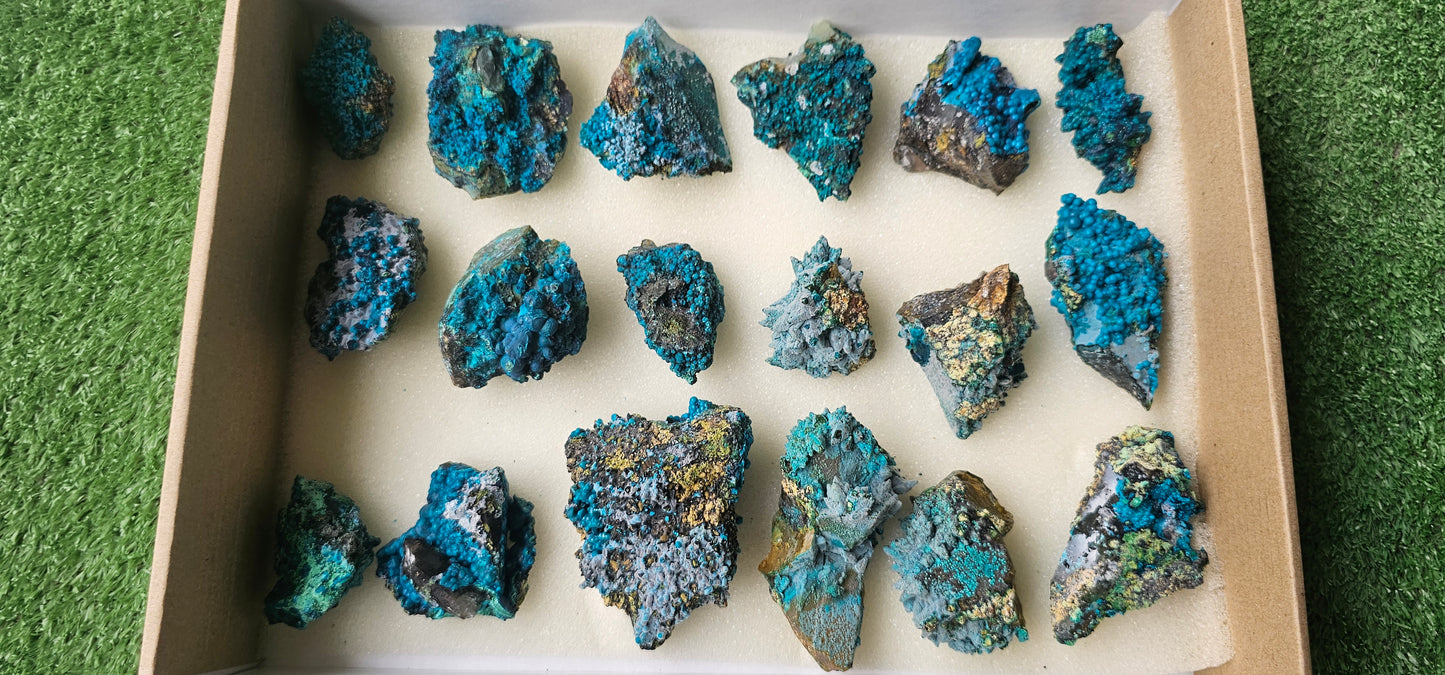 Lot 18 Chrysocolla on Quartz