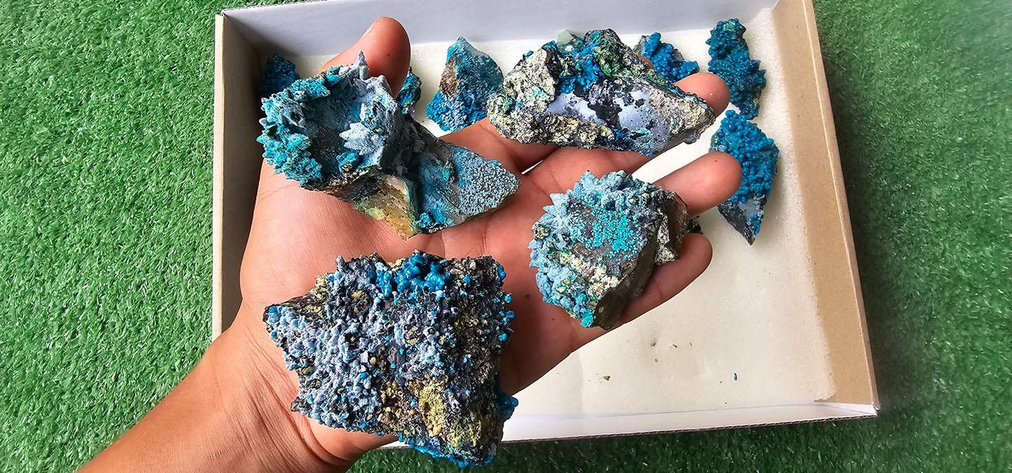 Lot 18 Chrysocolla on Quartz