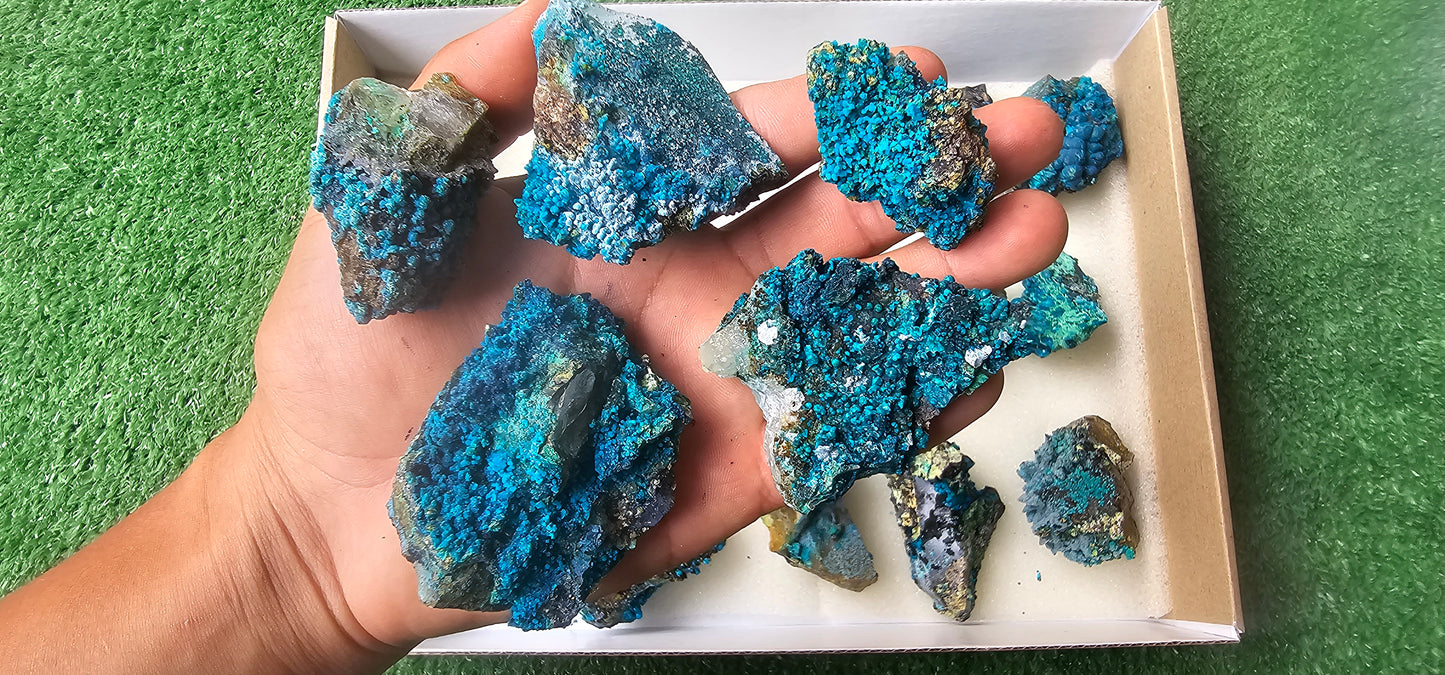 Lot 18 Chrysocolla on Quartz