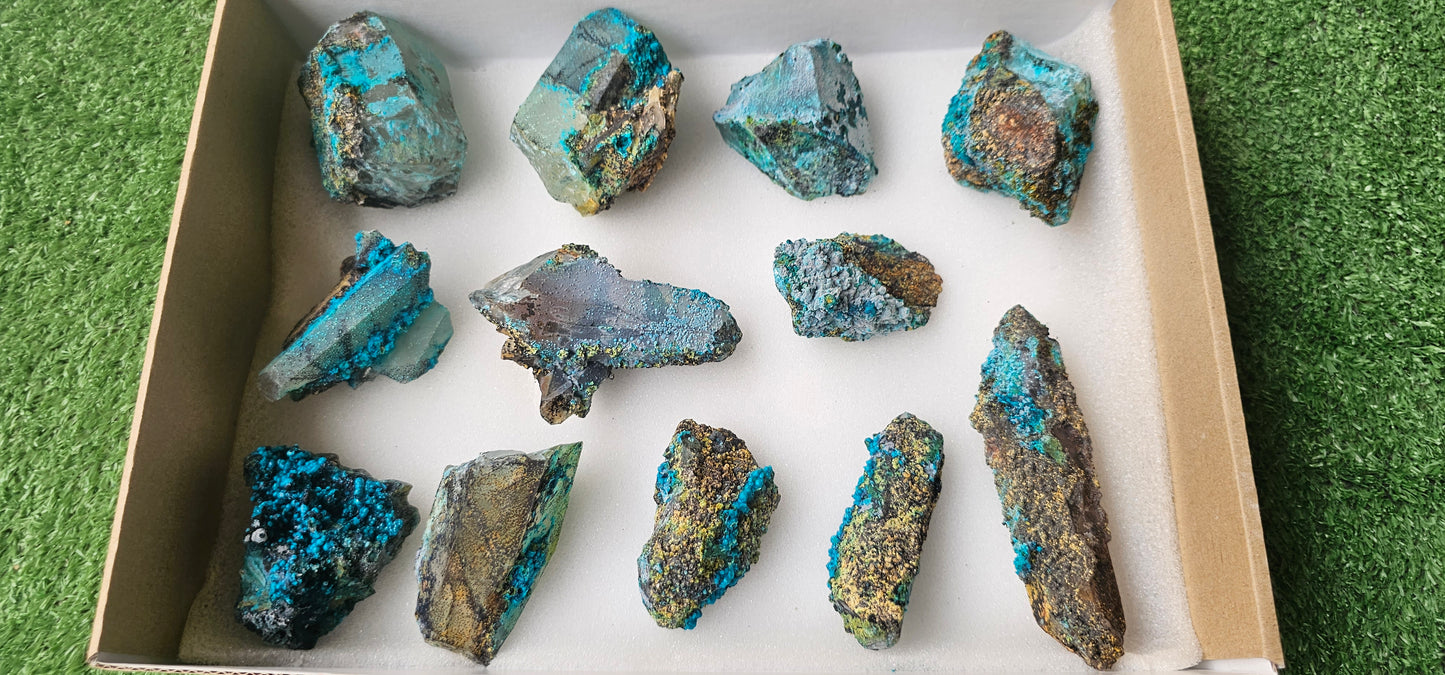 Lot 12 Chrysocolla on Quartz