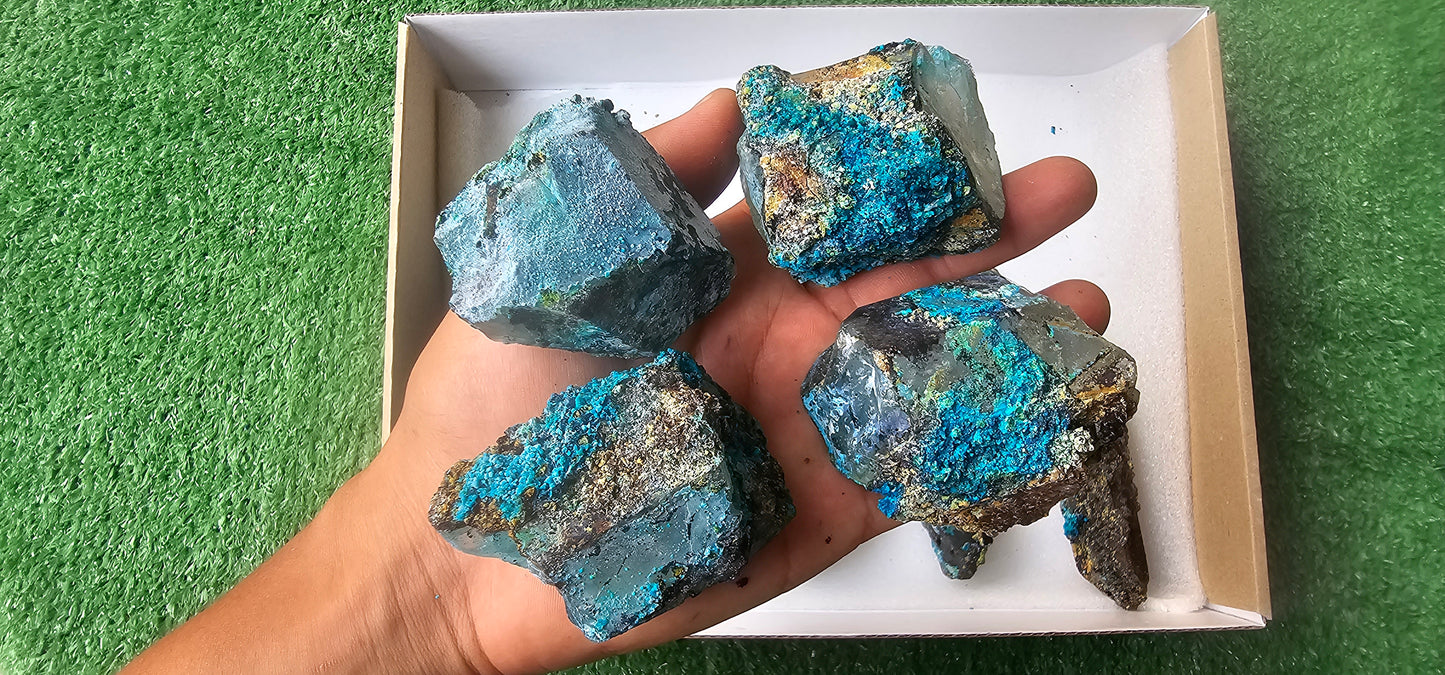 Lot 12 Chrysocolla on Quartz